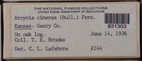 Image Associated With the Occurence
